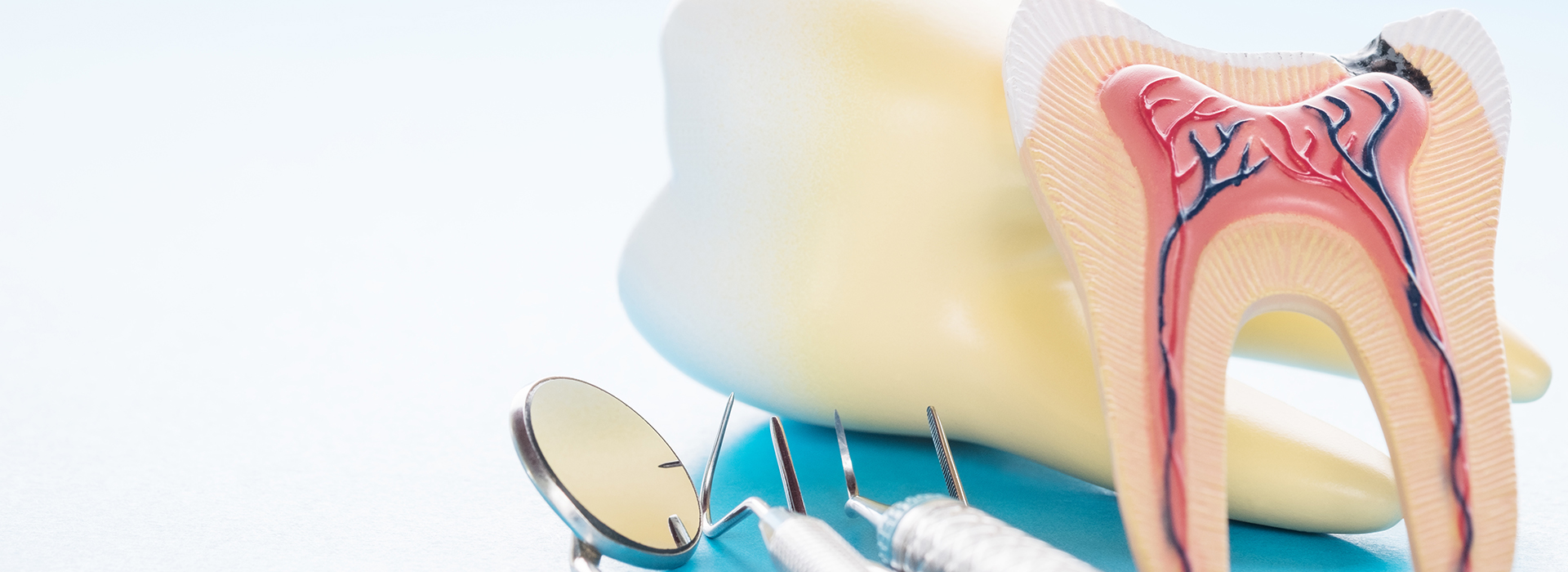 A toothbrush with a cartoon tooth and gums, accompanied by dental floss and picks, set against a light blue background.