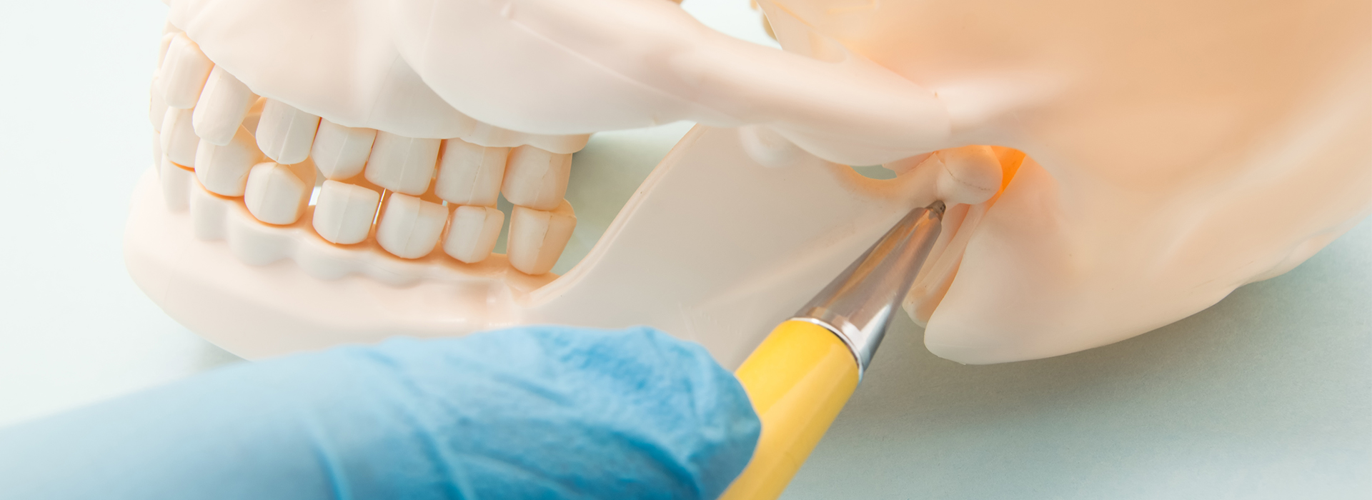 The image shows a person s hand holding a yellow object, possibly a toothbrush or dental tool, over a model human skull with teeth, being prepared for a dental procedure.